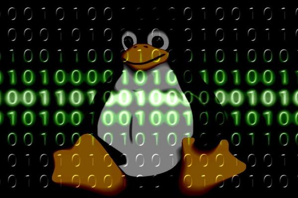 Эксперты фиксируют рост числа вредоносного ПО для Linux