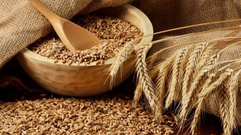 Российская компания доставила в Турцию пшеницу за биткоины