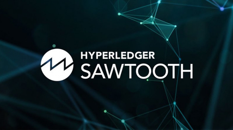 Проект Hyperledger выпустил релиз Sawtooth 1.0