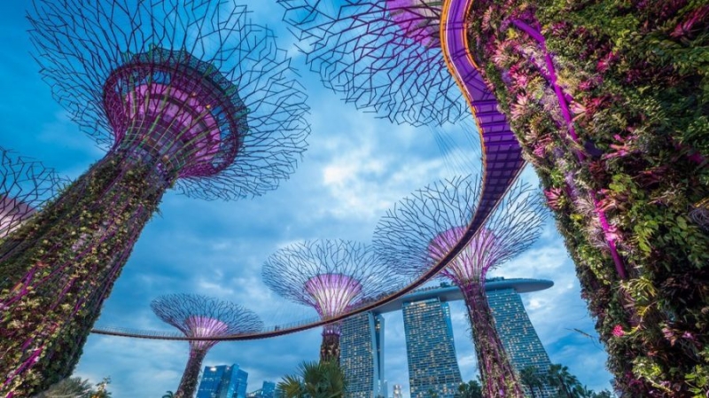 Сингапур ускорит рассмотрение патентных заявок на использование блокчейна