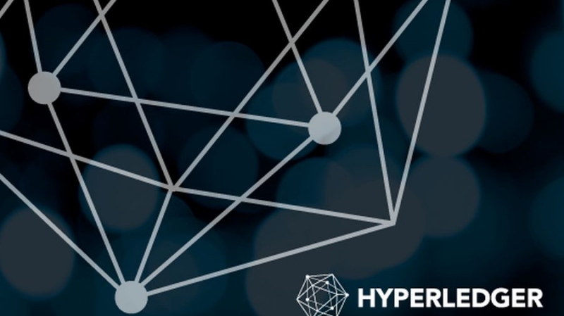 Hyperledger представил бета-версию блокчейна Fabric