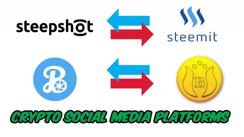 Белорусская сеть Steepshot — аналог Steemit и ГОЛОС