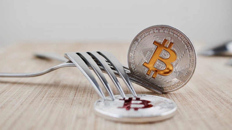 Кэлвин Эйр назвал Bitcoin Cash «единственным Биткоином»