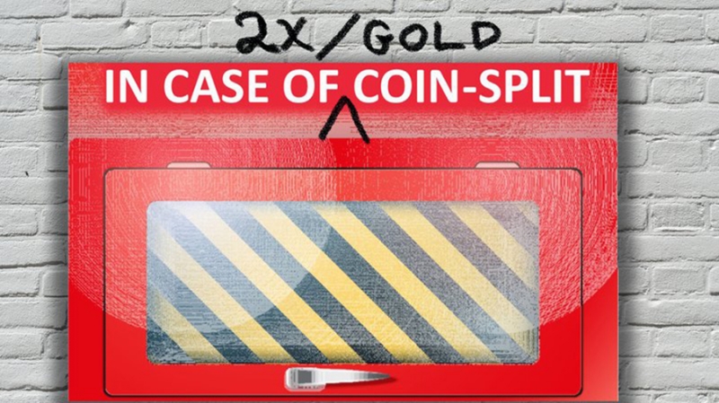 Школа выживания: как избежать потерь биткоинов при хардфорках Bitcoin Gold и SegWit2x