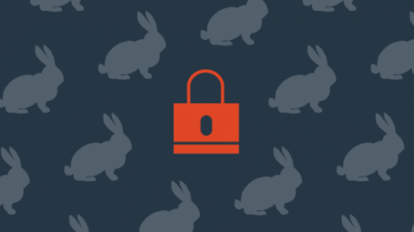 Эксперты: Атаки Bad Rabbit не преследовали финансовую выгоду