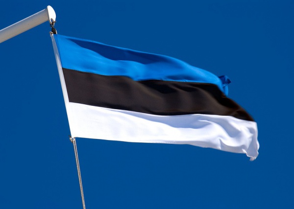 В Эстонии задержан россиянин по подозрению в подготовке кибератак