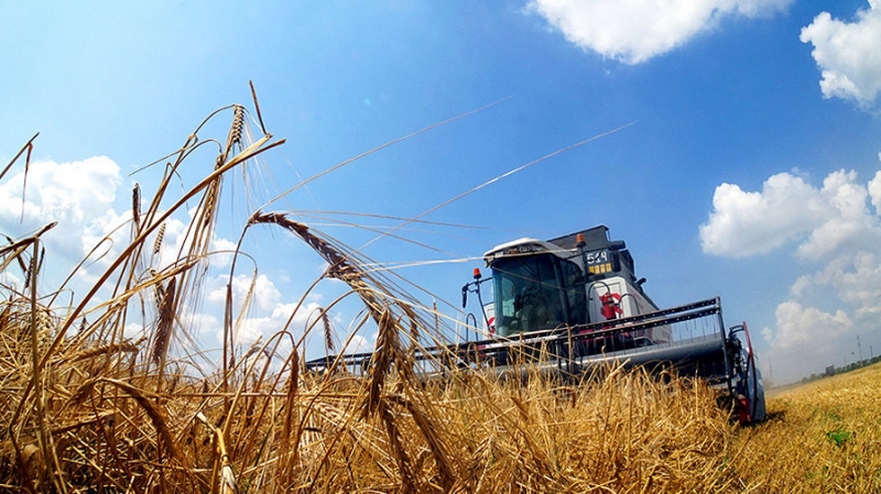 Казахстан планирует перевести торговлю зерном на блокчейн