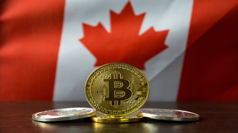 91% активов канадского криптовалютного фонда находятся в фиатных валютах