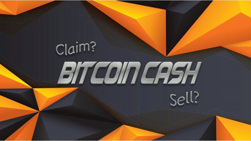 Bitcoin Cash падает: что делать с монетами